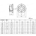 ANSI/ASME M8 Titanium Hex Flang Aghs